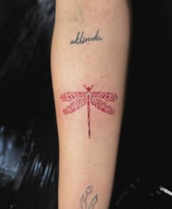 Tatuaje minimalista libélula roja en antebrazo – Cheno Tattoo Pachuca